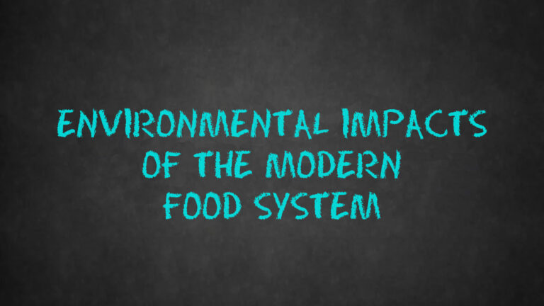 Environmental Impacts Food System